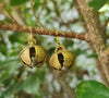 Brass Bells flower Jingle Dangle Earrings, Women Earring, Brass Bells